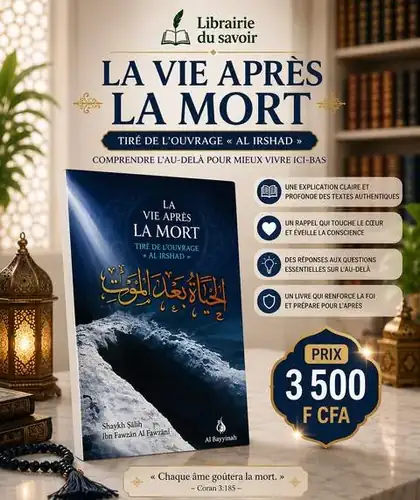 Affiche : La vie après la mort